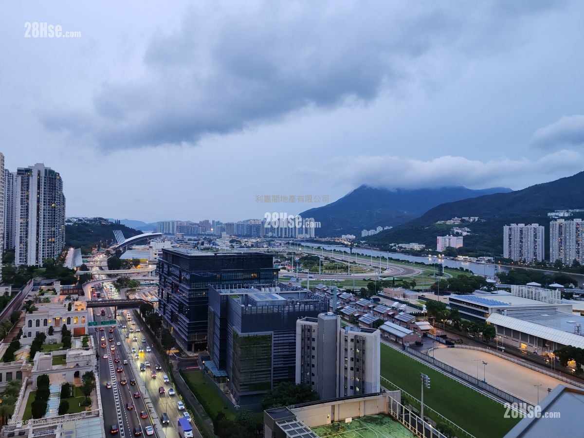 The Palazzo Sell 4 Bedrooms , 2 Bathrooms 1,035 ft²