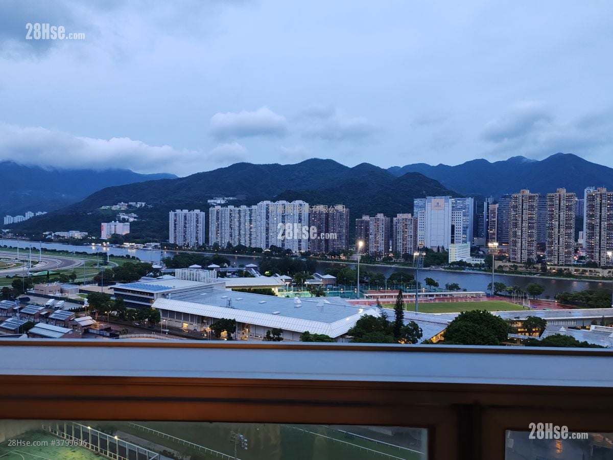 The Palazzo Sell 4 Bedrooms , 2 Bathrooms 1,035 ft²