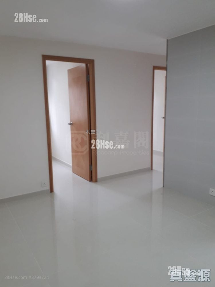 美城苑 租盘 490 平方尺