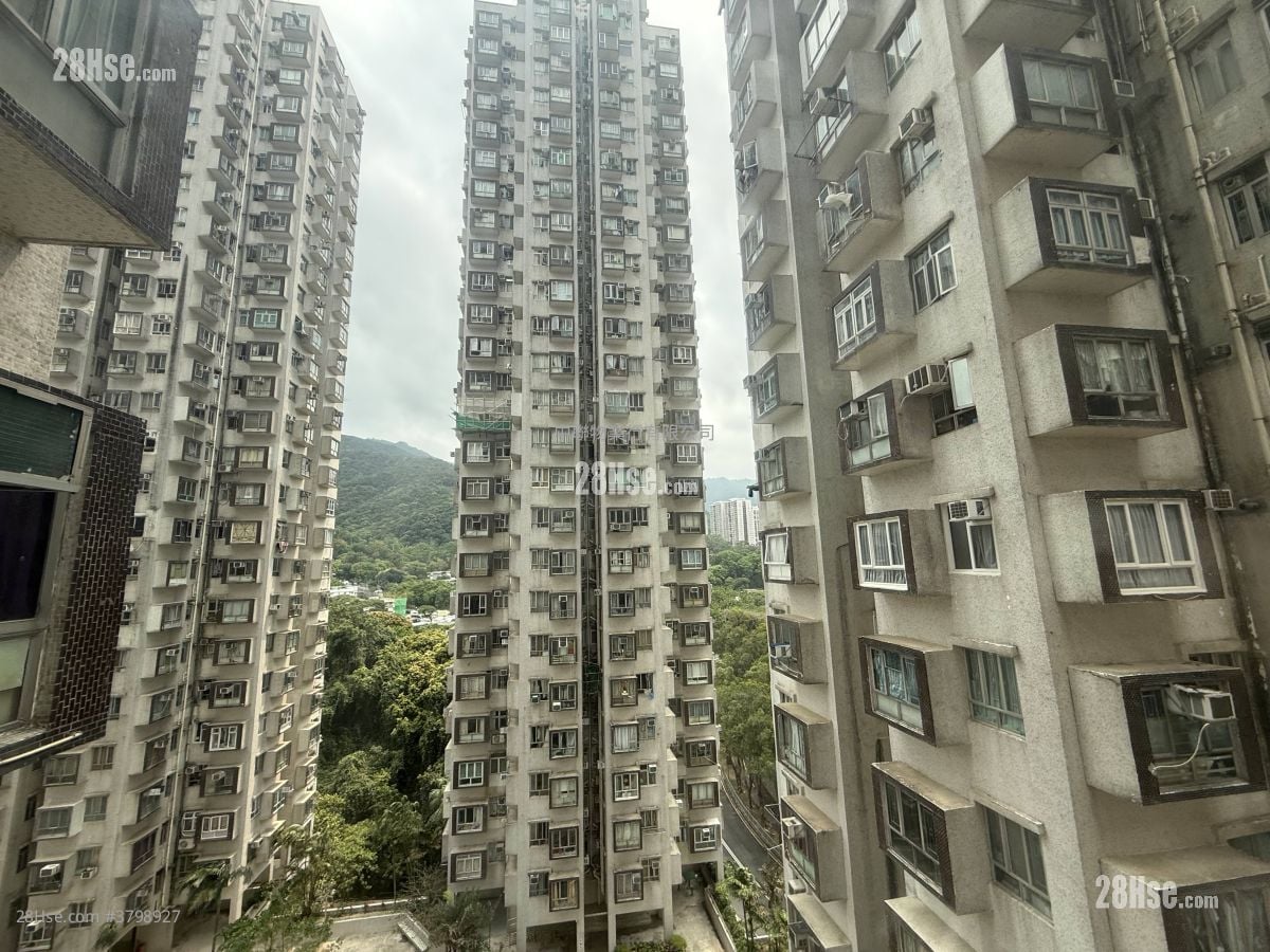 Golden Lion Garden Sell 260 ft²