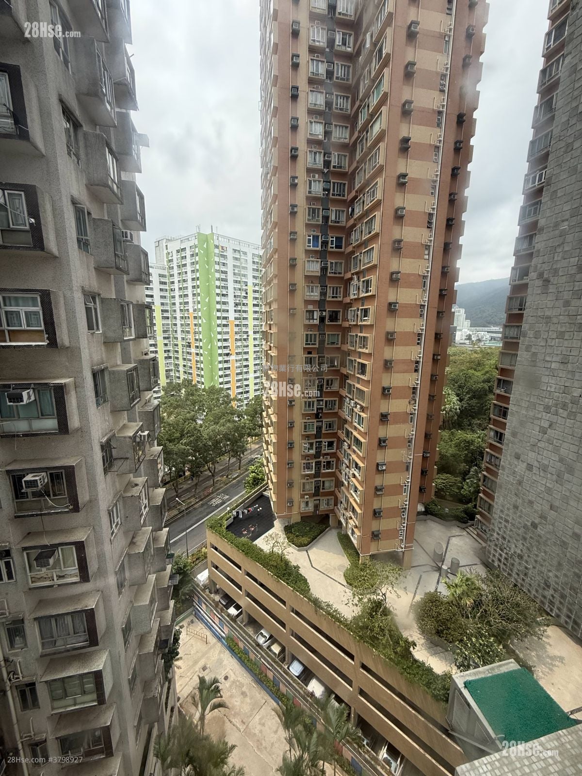 Golden Lion Garden Sell 260 ft²