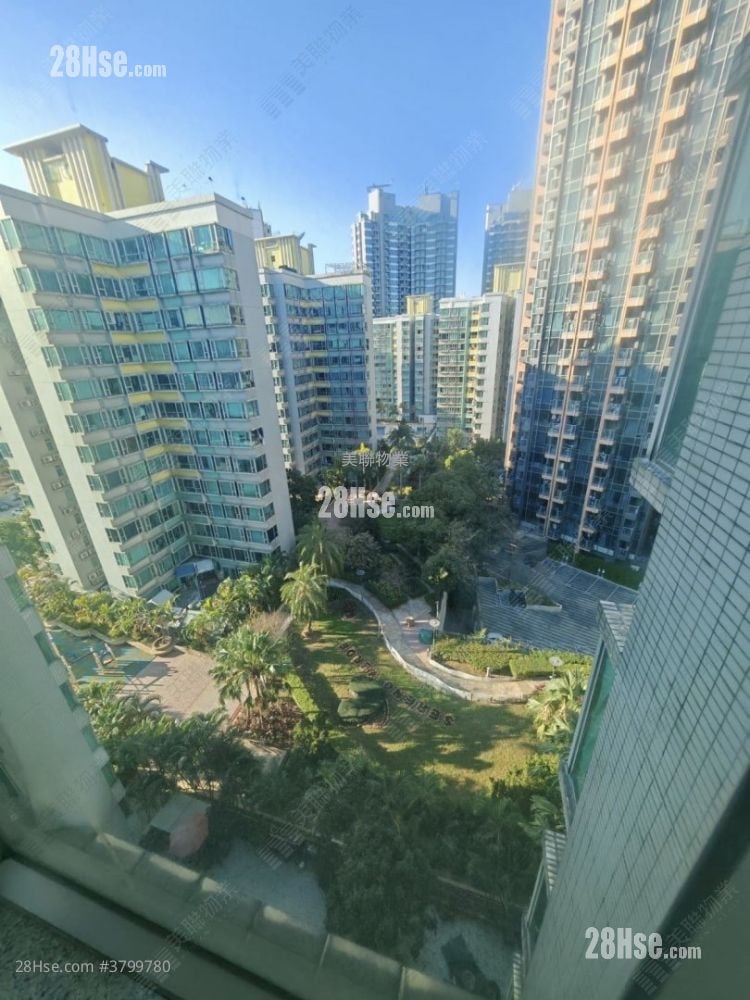 蝶翠峰 售盘 3 房 , 1 浴室 561 平方尺