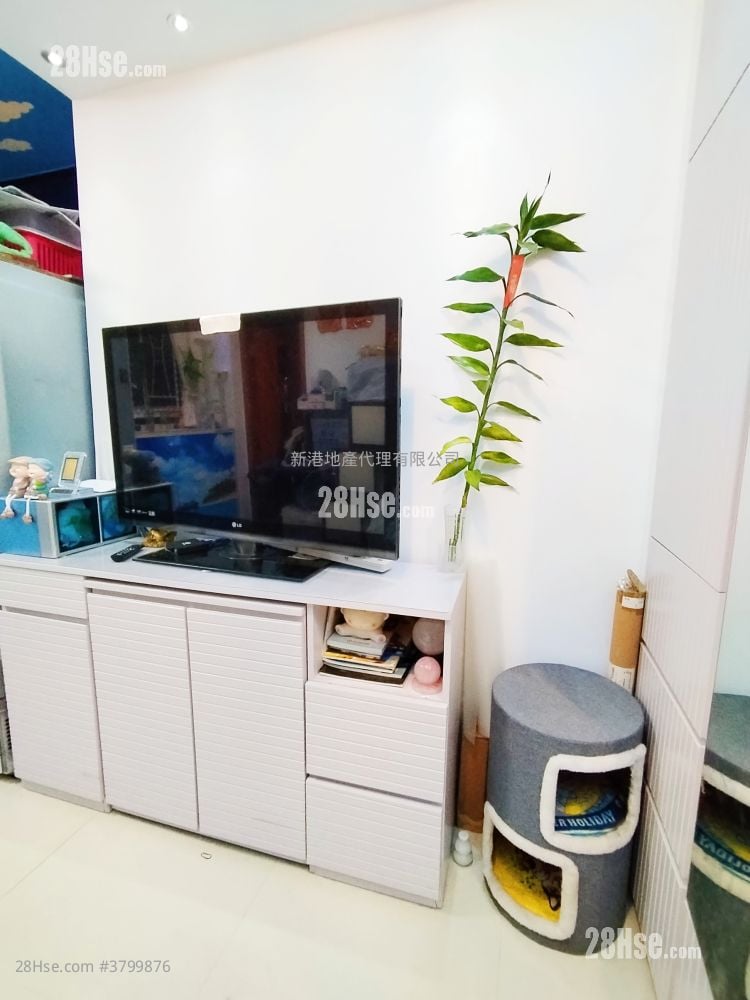 黄埔唐楼 租盘 1 房 , 1 浴室 290 平方尺