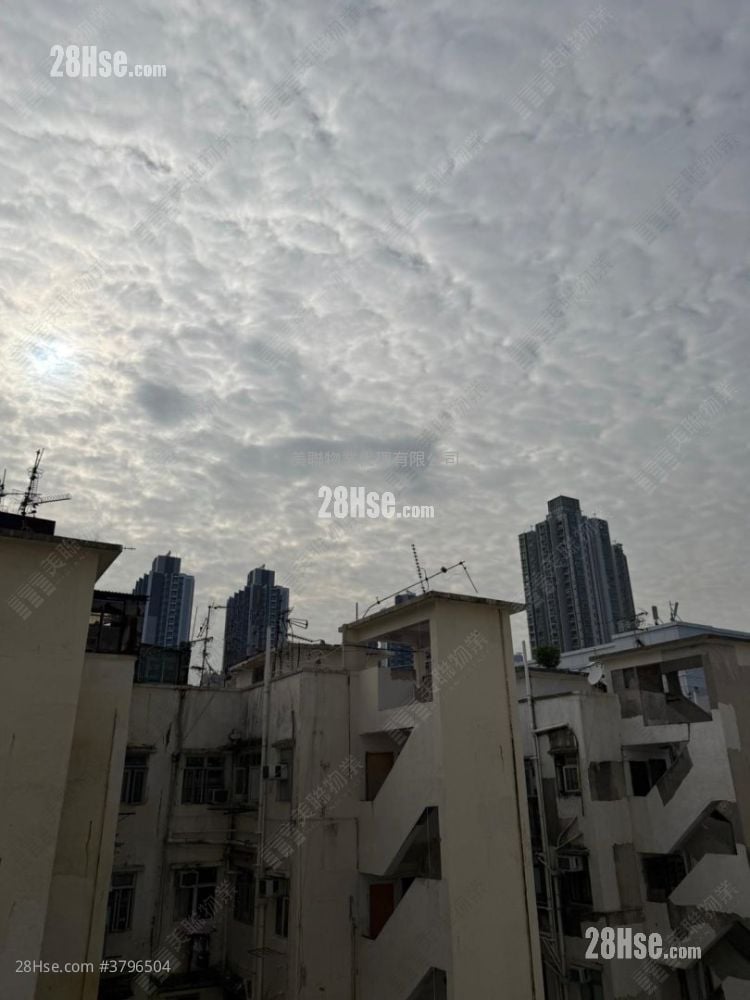 Gold Ming Building Rental 1 Bedroom , 1 Bathroom 256 ft²