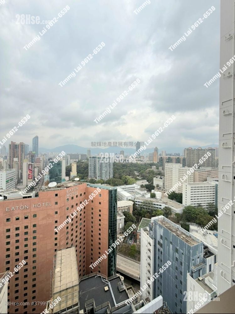 Topside Residence Rental 1 Bedroom , 1 Bathroom 272 ft²