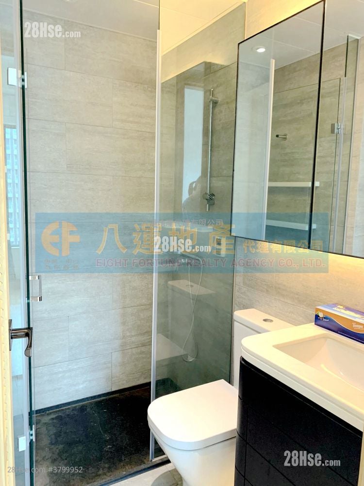 The Amused Rental 1 Bedroom , 1 Bathroom 285 ft²