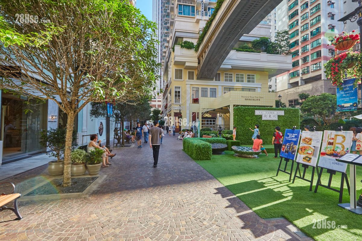 囍滙 租盘 开放式间隔 , 1 浴室 338 平方尺