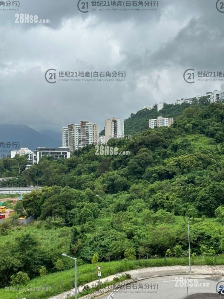 Silicon Hill Rental 2 Bedrooms , 1 Bathroom 403 ft²