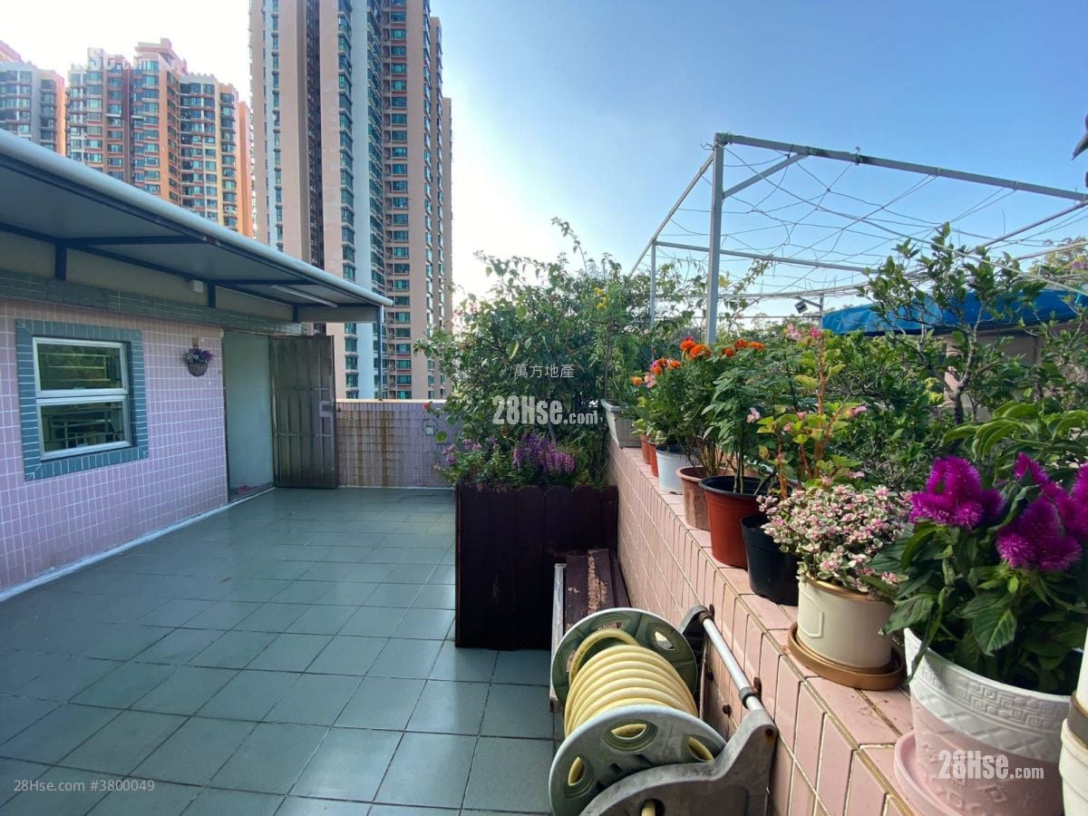 村屋 售盘 4 房 , 3 浴室