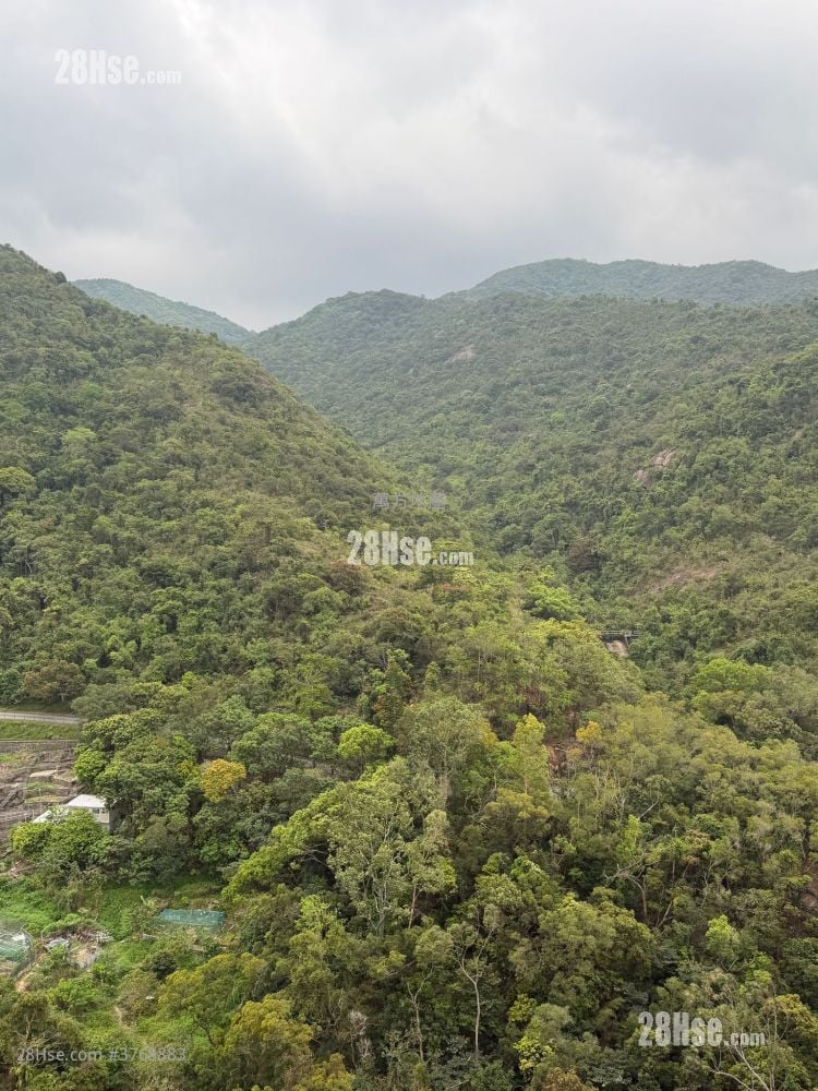 Hong Lam Court Sell 3 Bedrooms , 1 Bathroom 554 ft²