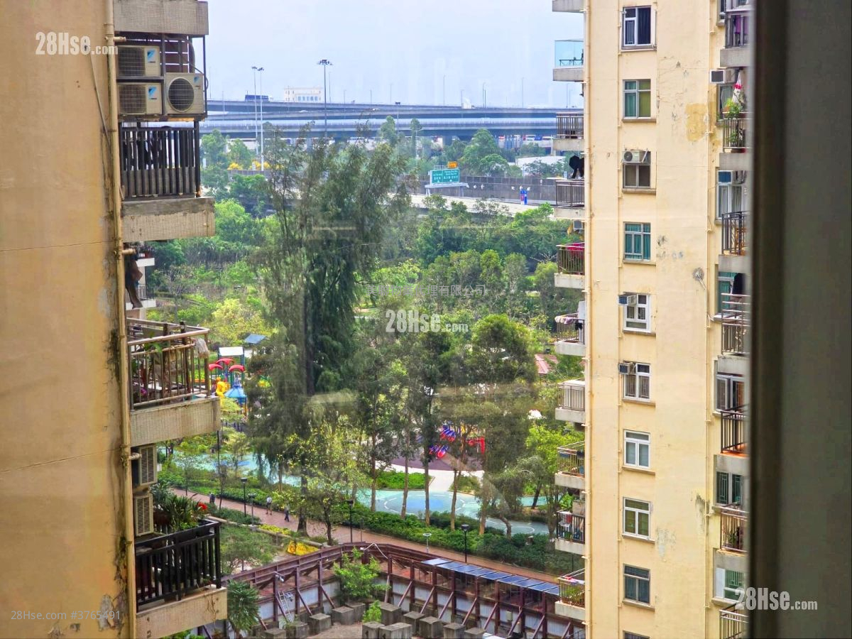 美孚新邨 售盘 3 房 , 1 浴室 597 平方尺