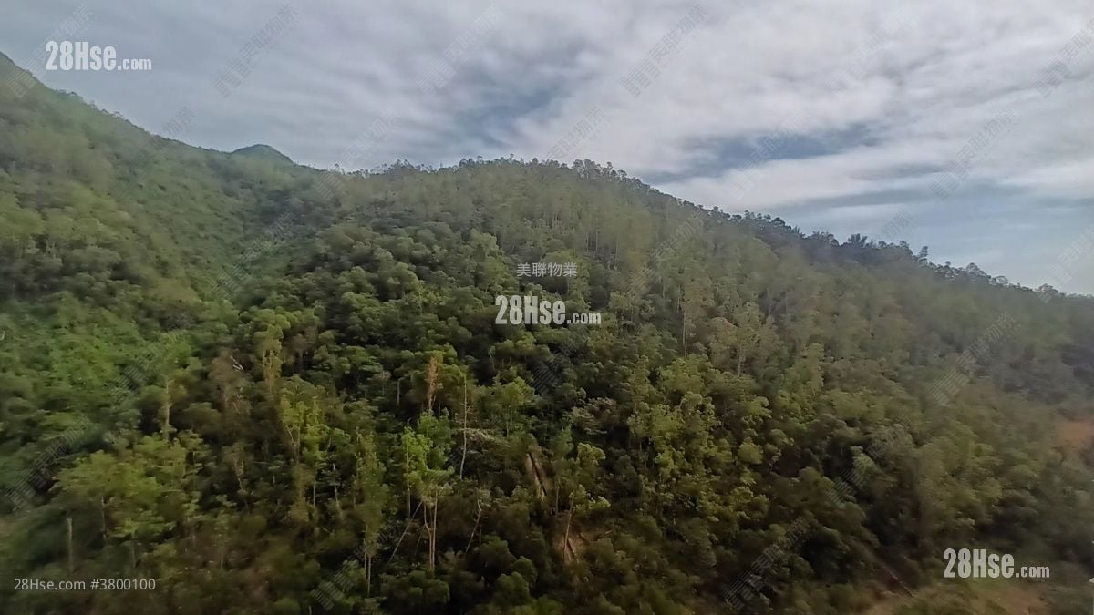 The Beaumount Sell 3 Bedrooms , 2 Bathrooms 694 ft²