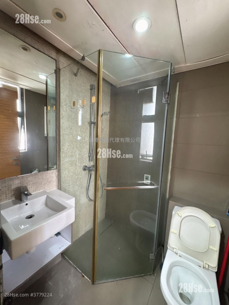 芜湖居 租盘 开放式间隔 , 1 浴室 241 平方尺