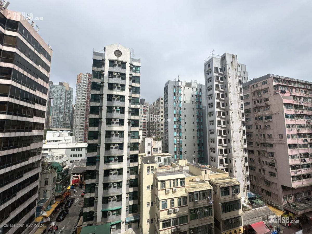 芜湖居 租盘 开放式间隔 , 1 浴室 241 平方尺