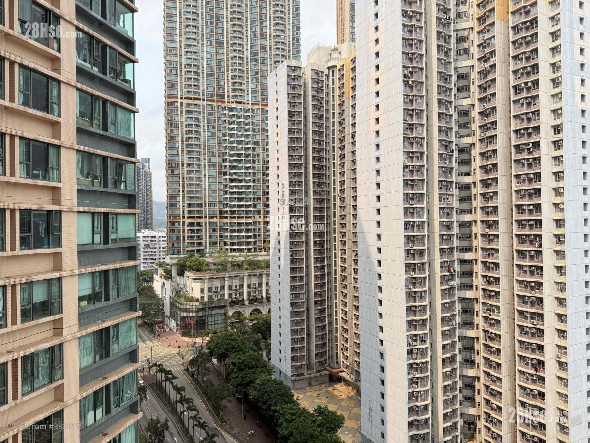 柏景湾 租盘 2 房 , 1 浴室 466 平方尺