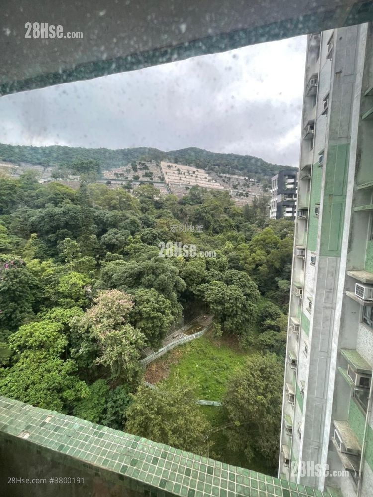 悦翠苑 售盘 559 平方尺