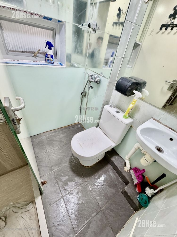 Apartment Rental Studio , 1 Bathroom 80 ft²