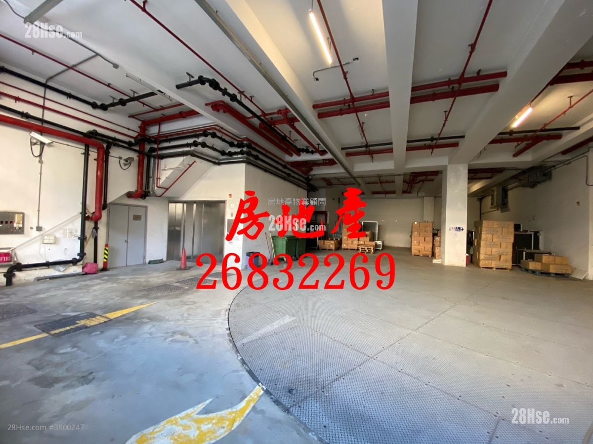 独立全幢(工业区) 售盘 5+ 房 , 5+ 厕所