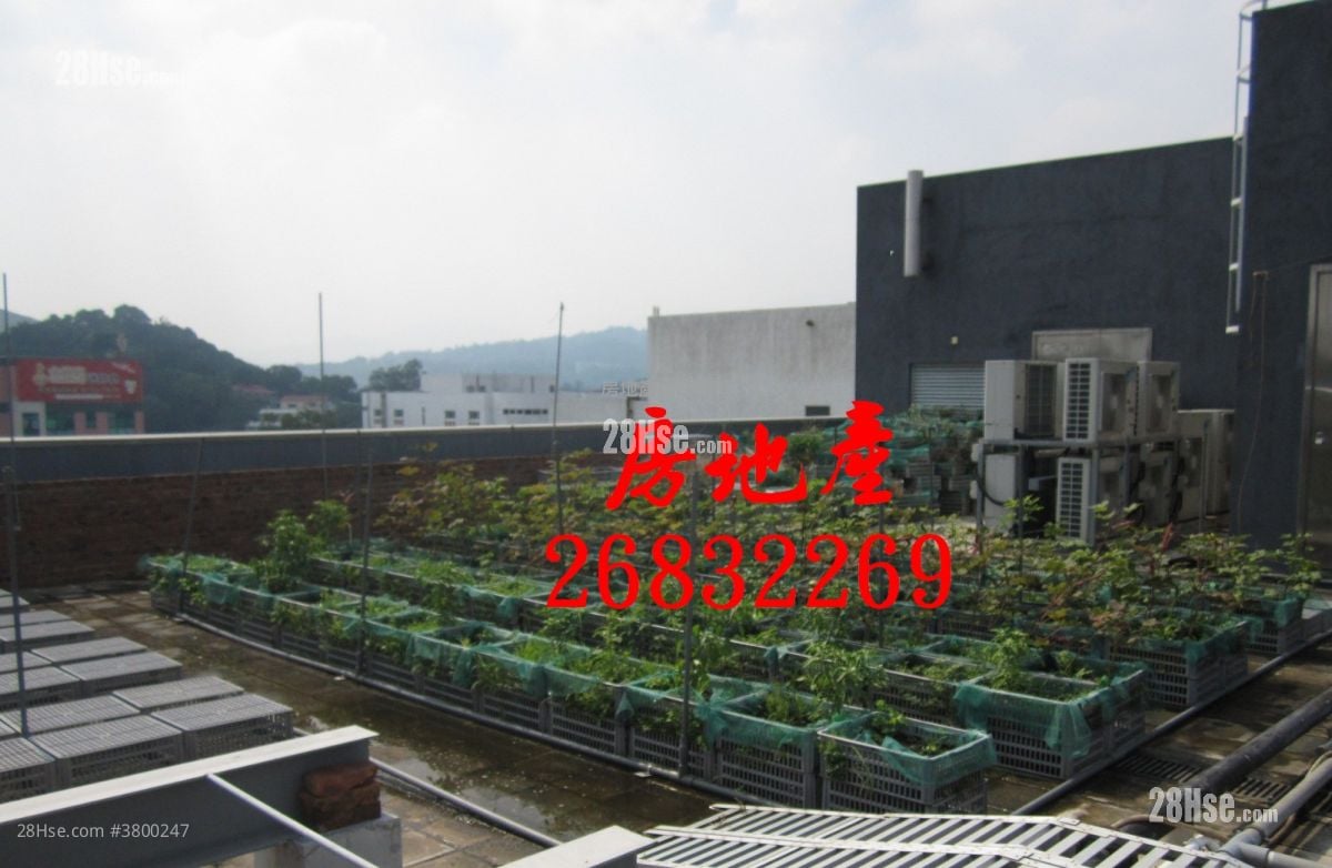 独立全幢(工业区) 售盘 5+ 房 , 5+ 厕所