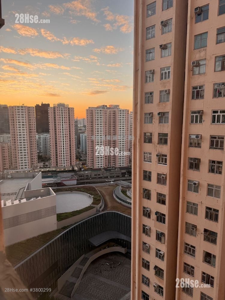 Amoy Gardens Rental 391 ft²