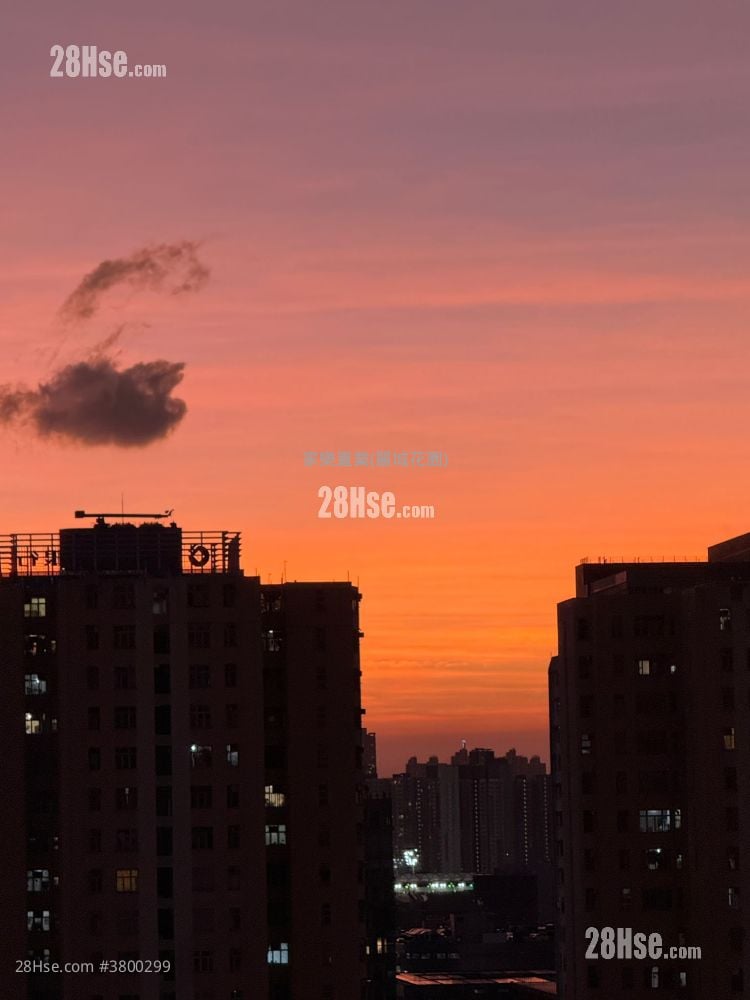 Amoy Gardens Rental 391 ft²