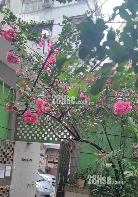 怡景大厦 售盘 2 房 , 1 浴室 465 平方尺