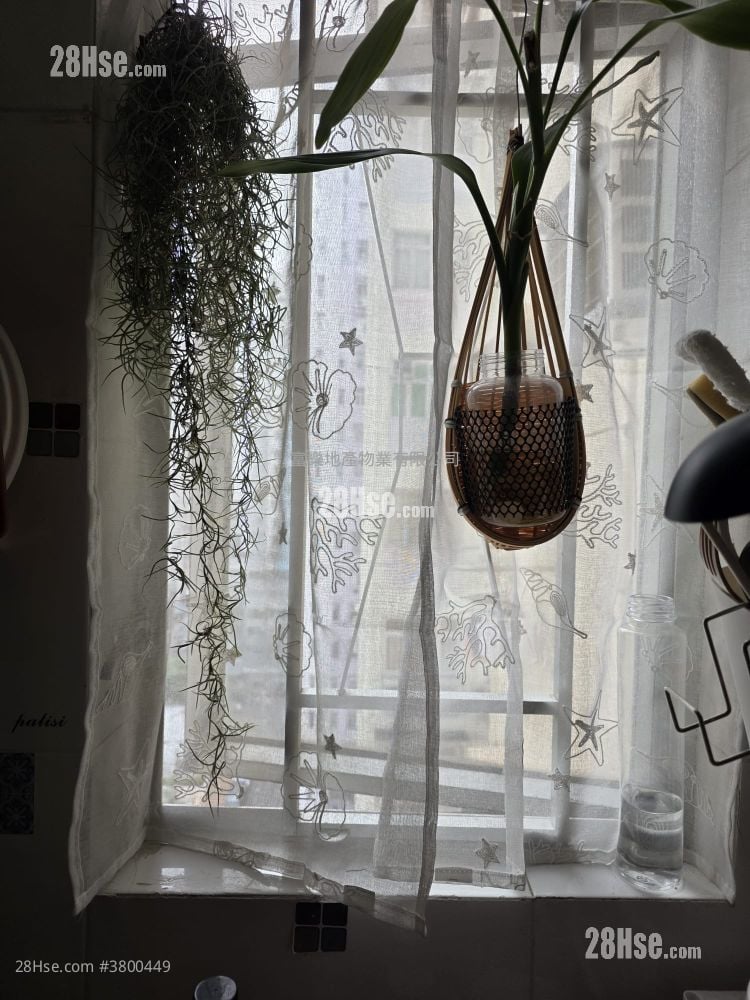 单幢楼房 租盘 2 房 , 1 浴室 338 平方尺