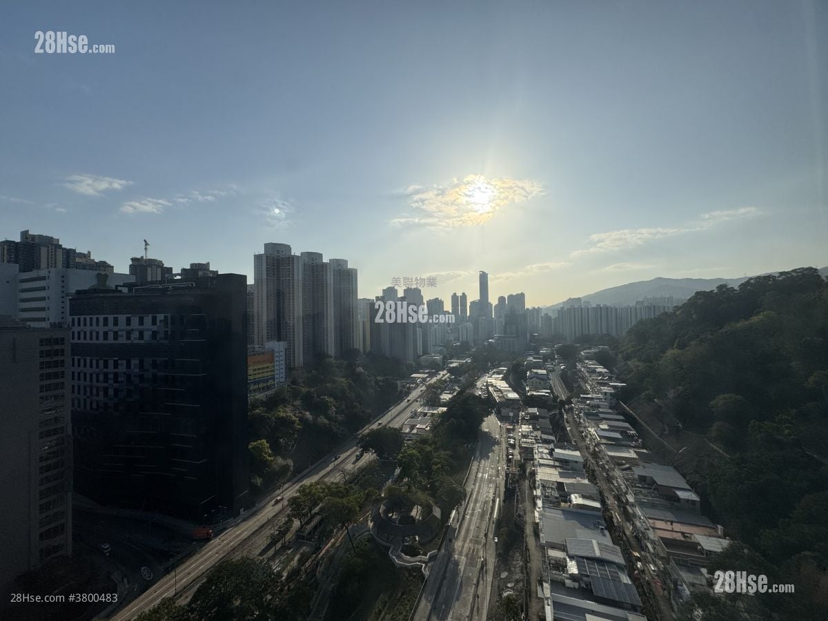 缙庭山 租盘 280 平方尺