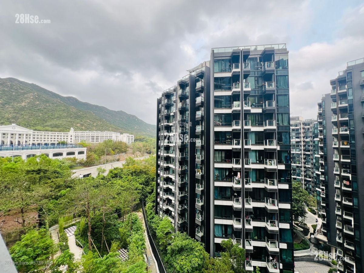 Gold Coast Bay Rental 1 Bedroom , 1 Bathroom 317 ft²