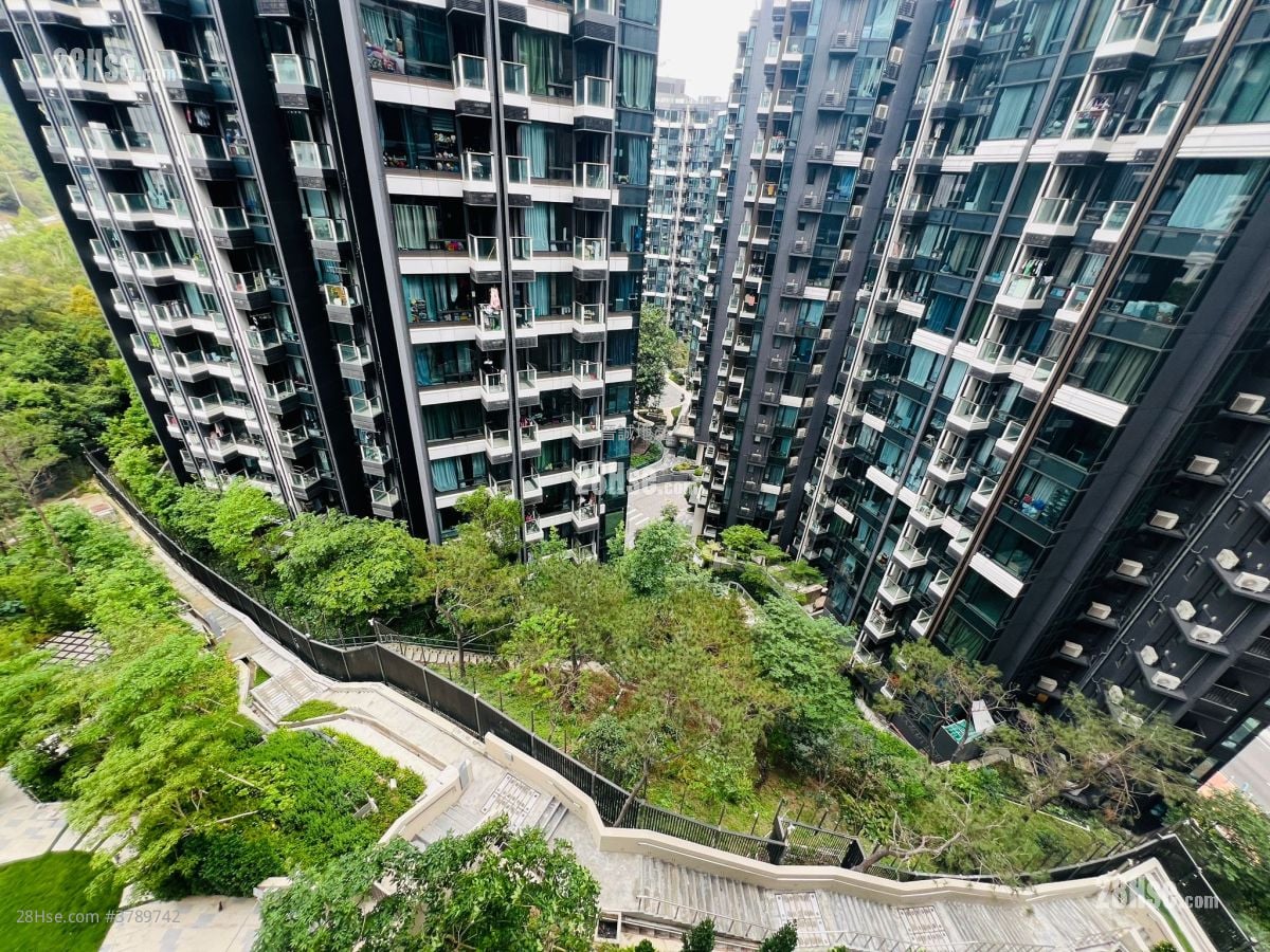 Gold Coast Bay Rental 1 Bedroom , 1 Bathroom 317 ft²