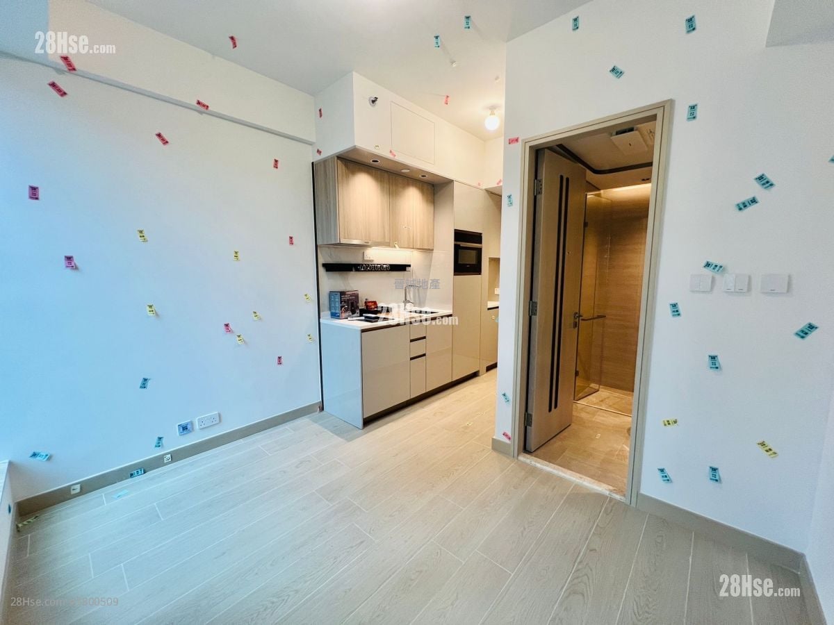 Gold Coast Bay Rental Studio , 1 Bathroom 206 ft²