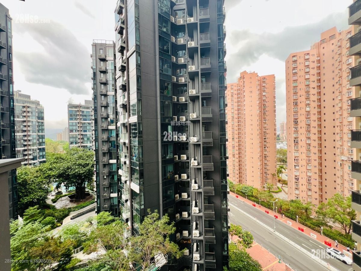 Gold Coast Bay Rental Studio , 1 Bathroom 206 ft²