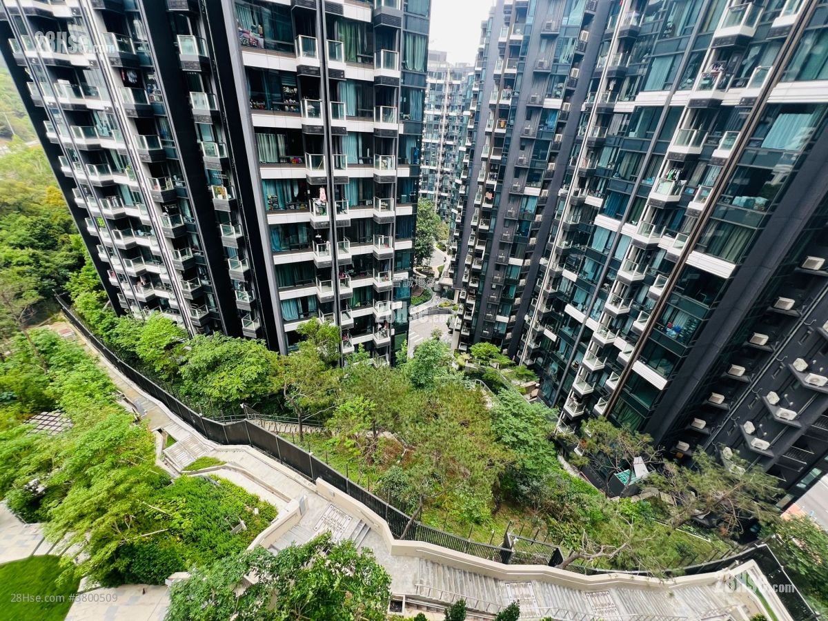 Gold Coast Bay Rental Studio , 1 Bathroom 206 ft²