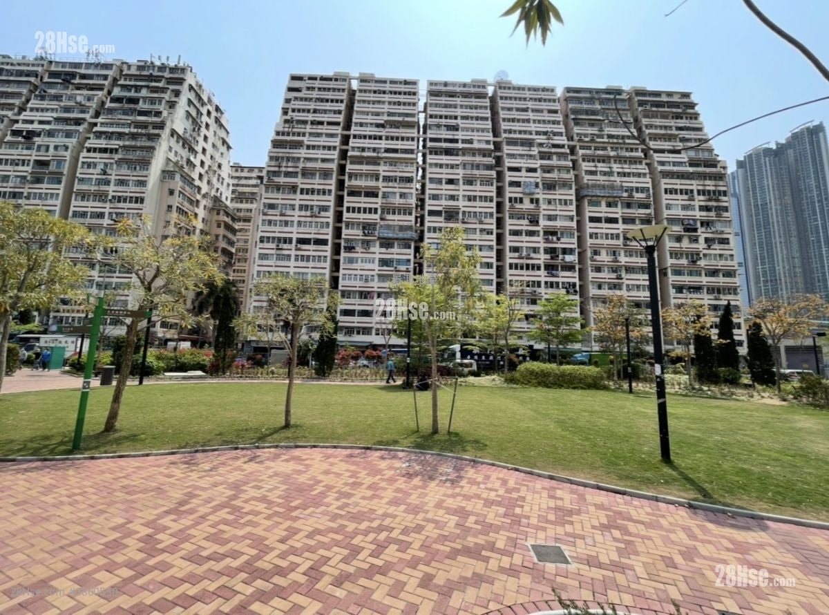 文蔚楼 租盘 1 房 , 1 浴室 170 平方尺