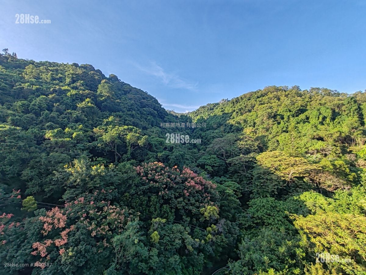 Peak One Rental 4 Bedrooms , 2 Bathrooms 1,939 ft²