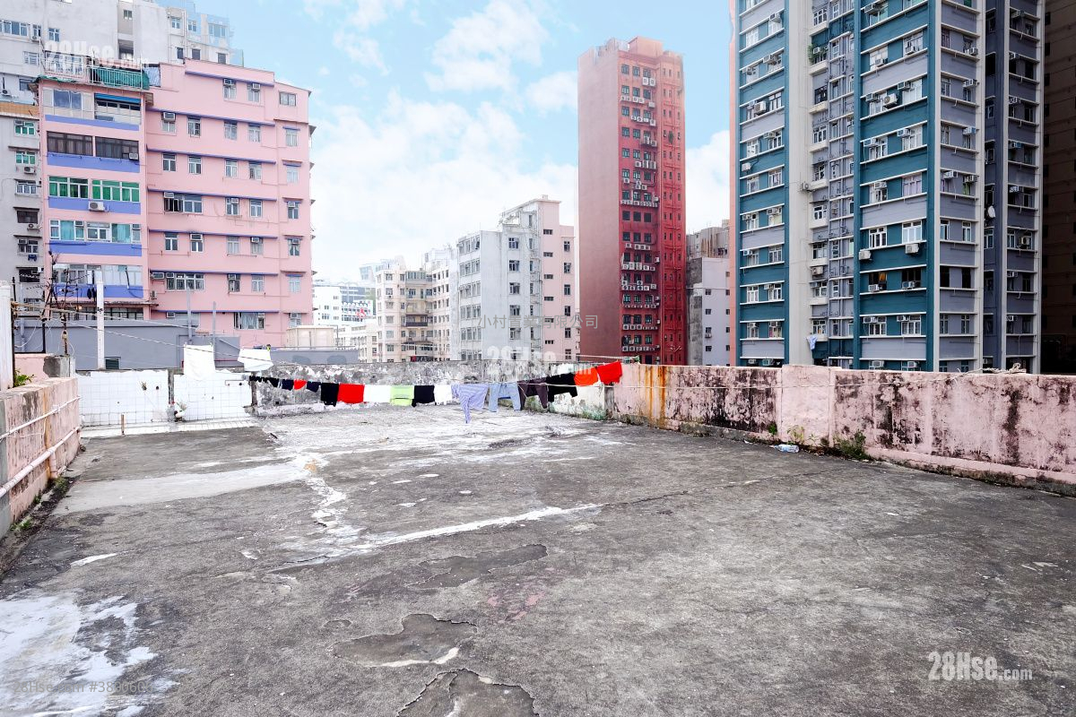 天台: 窝打老道3A-3B 售盘 5+ 房 , 5+ 浴室 849 平方尺