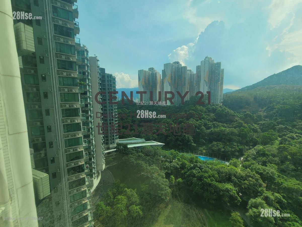 Mont Vert Rental Studio 196 ft²