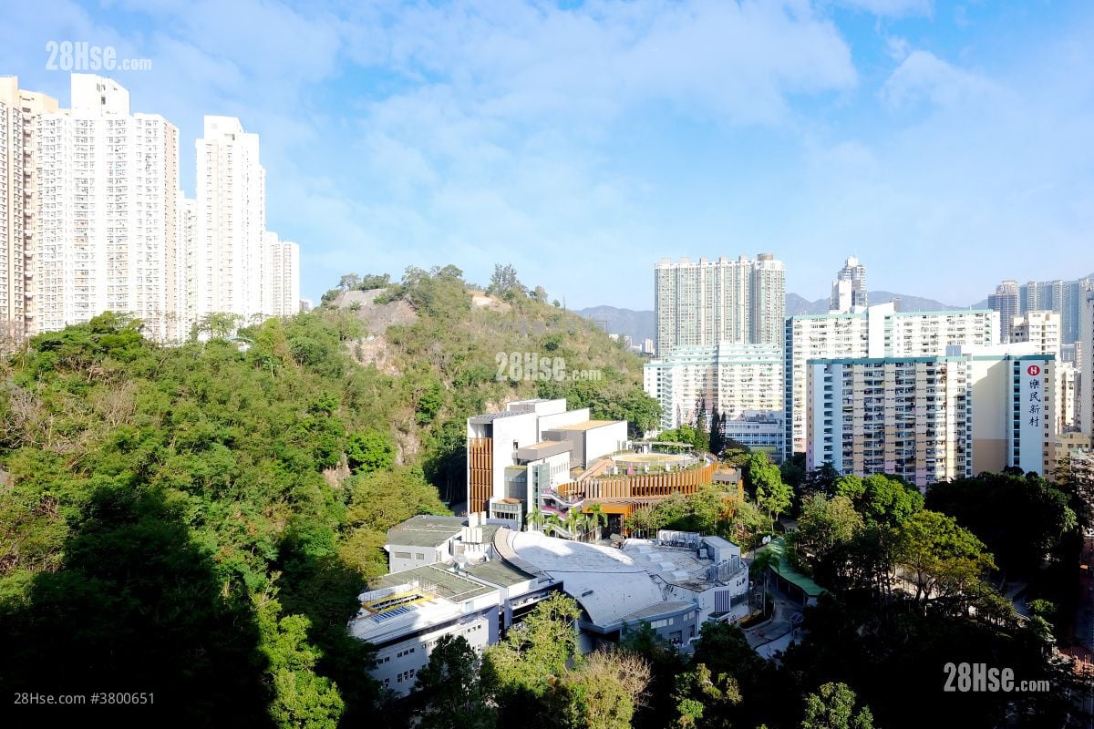 View: Alpine 18 Rental 1 Bedroom , 1 Bathroom 319 ft²