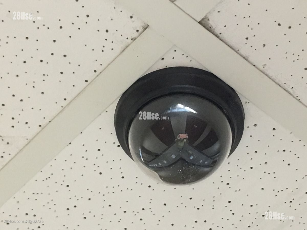 信义工业大厦 租盘