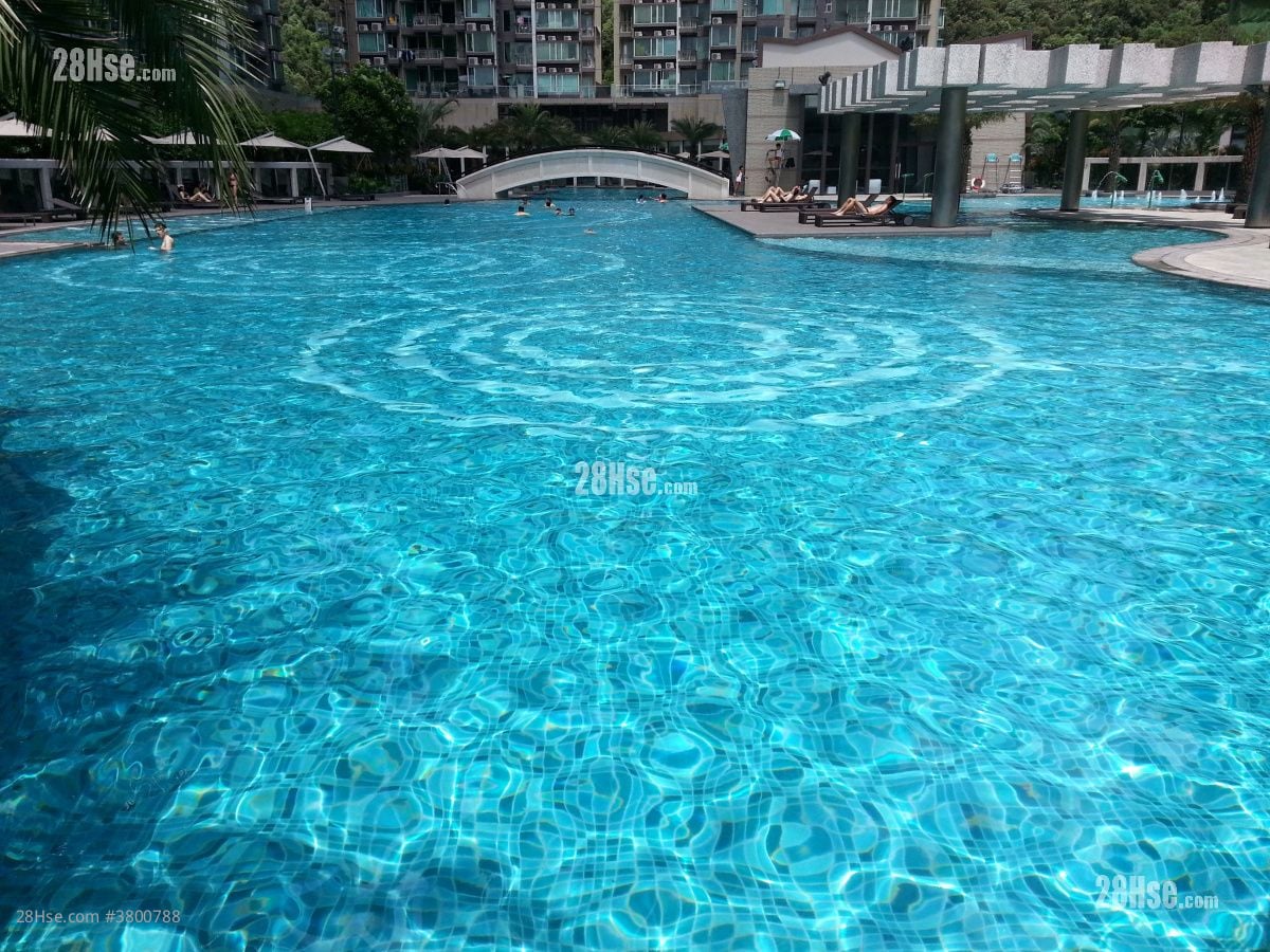 峻滢 租盘 5+ 房 , 2 浴室 737 平方尺