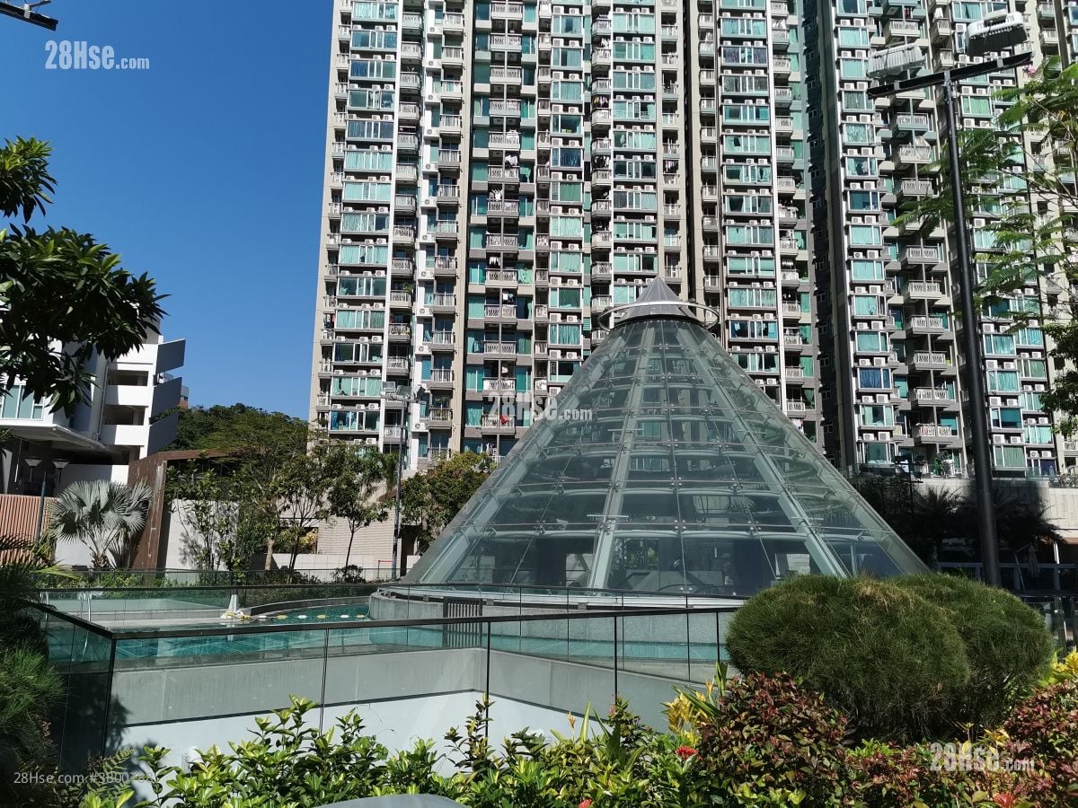 峻滢 租盘 5+ 房 , 2 浴室 737 平方尺