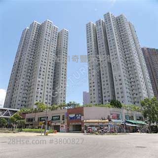 Leo 谭生63050330 福安花园  白居二 +绿表 专门店