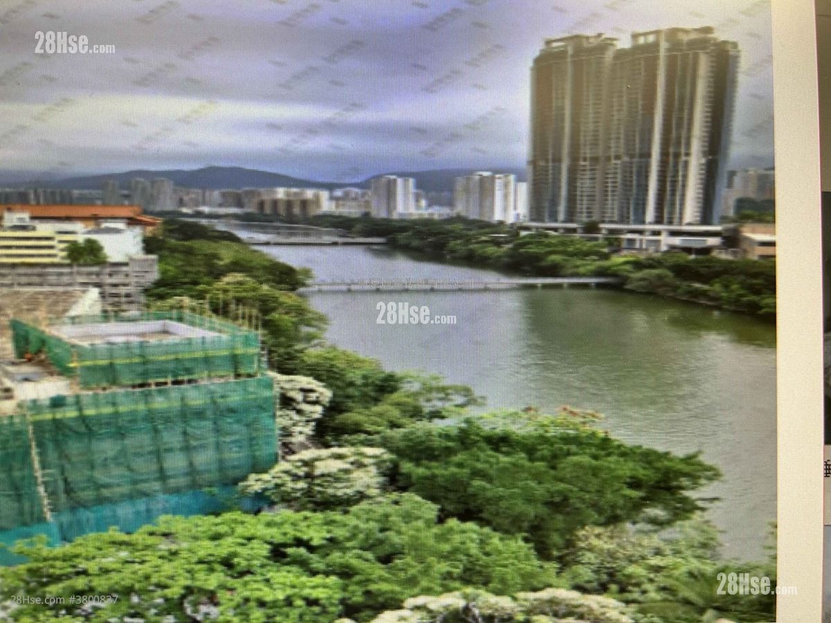 溱岸8号 售盘 4 房 , 3 浴室 1,262 平方尺