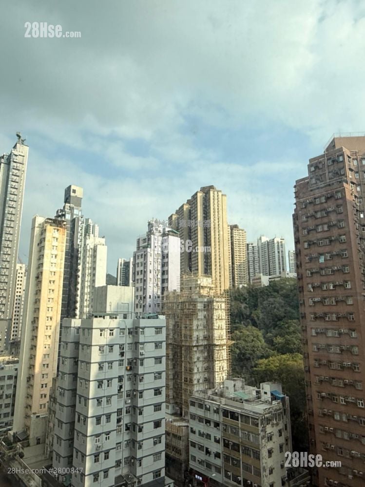 悦海华庭 租盘 2 房 , 1 浴室 422 平方尺