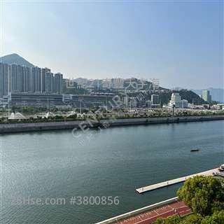 碧涛花园专门店 Leo 谭生 马鞍山世纪21奇丰>搵楼热线：Leo 谭生63050330笋价出售, 新委托