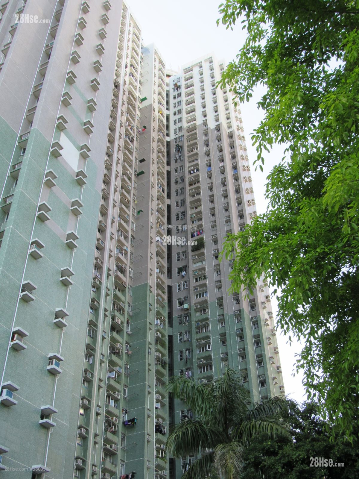 Ka Lung Court Sell 3 Bedrooms 554 ft²