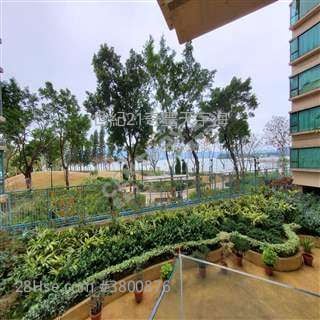 自用投资收租 马鞍山世纪21奇丰>搵楼热线海典居Jimmy 窦生63460809