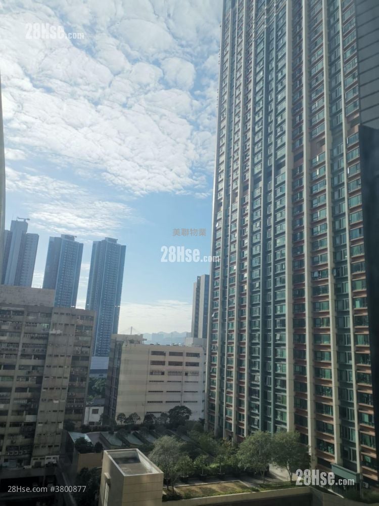 Chelsea Court Rental 1 Bedroom , 1 Bathroom 360 ft²