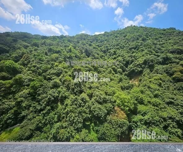 Beacon Peak 租盘 768 平方尺