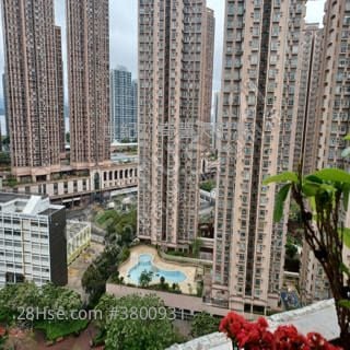 錦禧苑Jimmy 竇生+已補地價++